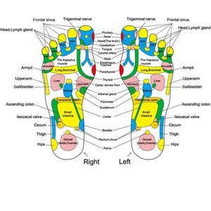 Masseur de Pied Acupression & Réflexologie – Coussin de Massage Marche, Relaxation Pieds Pression, Soin Santé & Fatigue Pieds